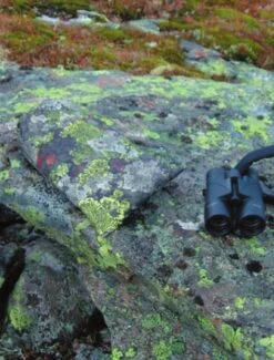 Jerven Fjellduken Hunter -Aventure Tente jervenbag hunter montain