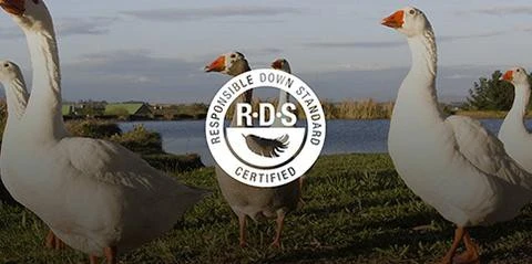 Sea To Summit Altitude ATI 19 Sea To Summit Altitude ATI – Image 17